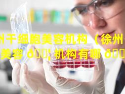 徐州干细胞美容机构（徐州干细胞美容 🐦 机构有哪 🕊 些）